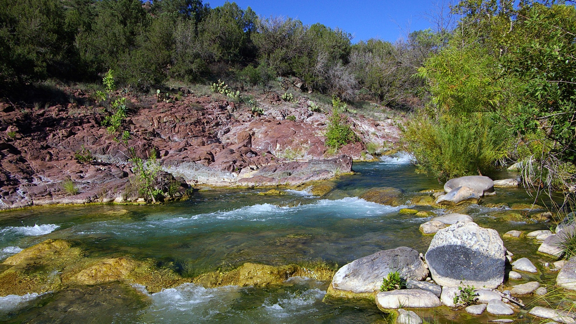 Chief of Police – Payson, AZ